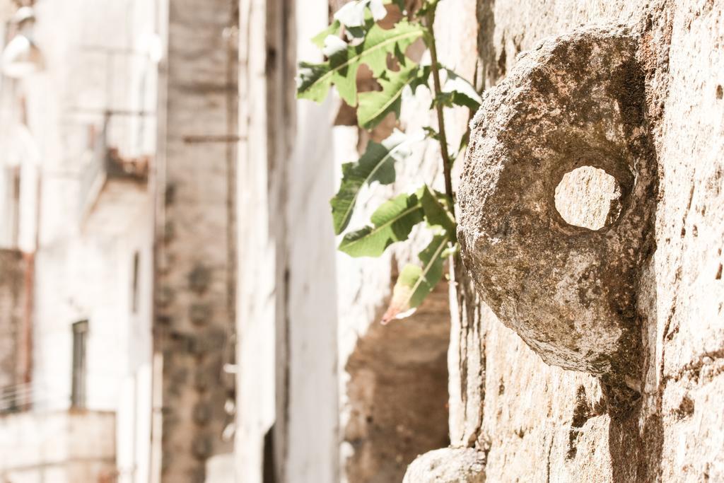 A Casa Di Rosa Matera Quarto foto
